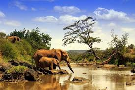 Kenya 2026